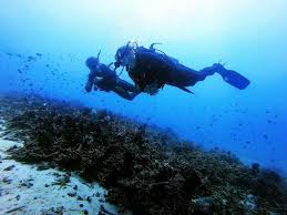 The path starts with earning a padi open water diver certification, followed by padi advanced open water diver and padi rescue diver (or qualifying certifications). How To Become A Master Of Buoyancy Control Blue Season Bali