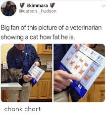 ekimmara big fan of this picture of a veterinarian showing a