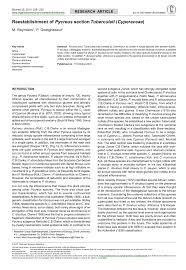 Image result for Pycreus pauper