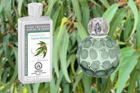 Be the first to review fresh eucalyptus lampe berger fragrance cancel reply. Top 10 Lampe Berger Fragrances For A Clean Smelling House