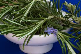 Biovea.net has been visited by 10k+ users in the past month How To Make Rosemary Essential Oil