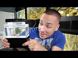 Jun 25, 2021 · seattle — i'm a big fan of diy projects. The Smallest Aquarium In The World Real The King Of Diy Aquarium World Small
