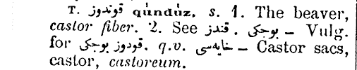 Check spelling or type a new query. Kunduz Ingilizce Ne Demek Kunduz Anlami What Does It Mean Kunduz Ingilizce Kamus