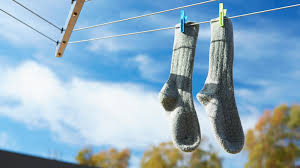We did not find results for: Washing Merino Wool Socks The Woolmark Company