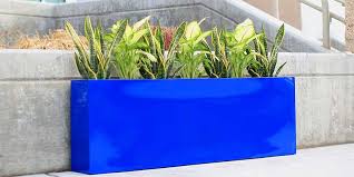 Aurora blueberries are often more resistant to cracking and shriveling than elliott and as a result, it can be allowed to hang longer, and develop better flavor. Fiberglass Planters Wholesale Products Planters Pots More