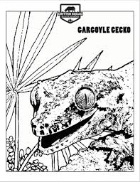 Gecko is one of the largest types of gekko (sort of lizard). Lizard Coloring Pages C S W D
