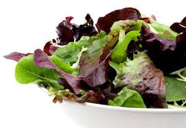 We did not find results for: Spicy Mesclun Mix Summer Baby Greens 2000 Bulk Seeds Non Etsy Mesclun Salad Baby Lettuce Lettuce Seeds