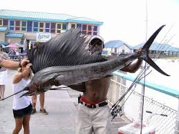 Florida fishing licenses are required for all residents between 16 and 64 years of age. Best Places To Fish On Okaloosa Island