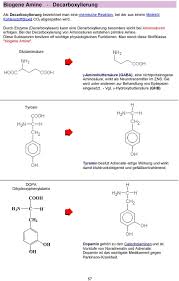 Dieses mit ihmc cmaptools erstellte cmap hat informationen bezüglich: 8 Aminosauren Proteine Eiweiss Pdf Free Download