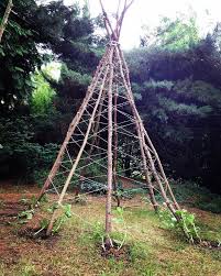 Pin On Garten