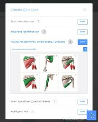 The quantitative analysis of muscle histomorphometry has been growing in importance in both research and clinical settings. Learn All Muscles With Quizzes And Labeled Diagrams Kenhub