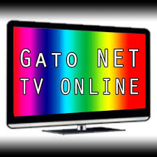 Aquí actualizas la transmisión de canal 13 online. Gato Tv Descargar Gato Tv Latino Para Pc