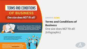 The third type is contextual information which does not form part of an appointee's terms and conditions directly but is helpful in understanding the framework applicable to governor in council appointments. Terms And Conditions Of Business One Size Does Not Fit All Inforgraphic
