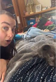 Exploring the New Hunter Call of the Wild Pack Live