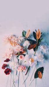 Download the perfect aesthetic pictures. Pin By Aulia Ramadhani On Princess Jordan Landscape Wallpaper Flower Wallpaper Backgrounds Phone Wallpapers