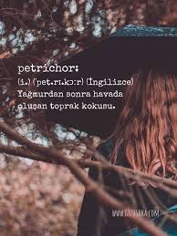 Meanings of ne demek in english turkish dictionary : Durumu Bir Cirpida Ozetleyen Anlami Guzel Kelimeler Gizushka