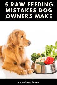 5 Mistakes Dog Owners Make With Raw Feeding Raw Feeding For Dogs Dog Food Reviews Large Breed Dog Food