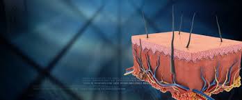 Dermatologie Hautkliniken Hautspezialisten In Deutschland