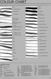 Image Result For Gray Hair Color Chart Grey Hair Colour