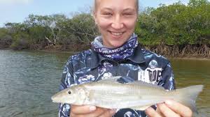 Scott Hillier ultimate whiting guide