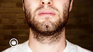 We all know it's harmful so no explanation required in this one. What I Wish I Knew Before Growing A Beard Youtube
