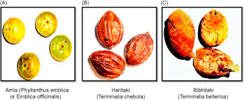 Image result for Terminalia bellirica