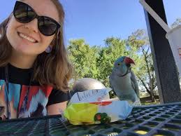 Had some fun over the park today ❤️