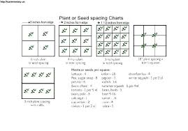 Square Foot Garden Spacing Careerview Info