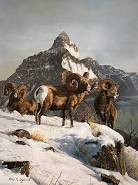 Gary Swanson Bighorn Sheep Collectors Covey Hunting Art Animal Paintings Wildlife Art