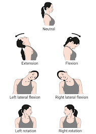 As a general regulation (there are constantly exemptions!), when 2 bones removal closer with each other in the sagittal airplane when you drop your chin toward your chest in sarvangasana (shoulderstand), for example, your neck is bending. Neck Aids Dynamic Techno Medicals