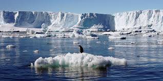 Les conséquences du réchauffement climatique sont innombrables, le phénomène menaçant l'existence de l'espèce humaine. La Planete Toujours Vers Un Rechauffement De 3 C Malgre La Pandemie