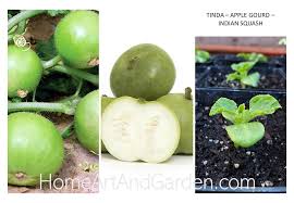 Low carbs and high fats! Www Homeartandgarden Com Search Results