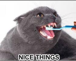 Flapjack adopts a rat he rescues from a flood and names it k'nuckles ii, but it ends up infecting everyone in stormalong with the. The Demon Cat From Flapjack Posts Facebook