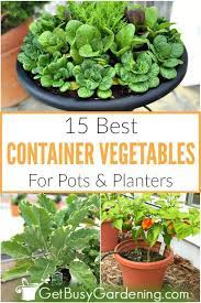 15 Best Container Vegetables For Pots Planters Container Vegetables Container Gardening Vegetables Growing Vegetables In Pots