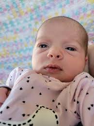 Jaxson Hoffman's Instagram, Twitter & Facebook