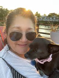 Trixie (looking away), and Ru, my little silverback Chihuahua, totally  enjoying this beautiful weather in Texas. It's cool, slight breeze, and  sunny.