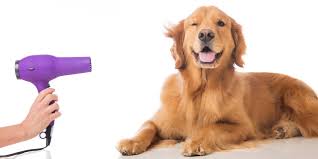 We take great pride in offering pet insurance coverage2 that is simple and straightforward, accessible and. Pet Groomer Sues Insurance Company For Denying Claim West Virginia Record