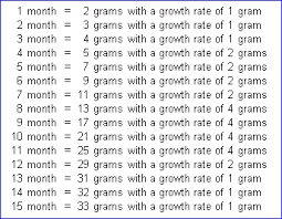 Crested Gecko Growth Chart This Gives You A General Idea