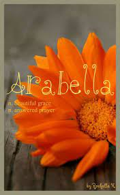 Origin of the name arabella: The Name Of My Precious Little Niece Most Adorable Baby And Really Displays How God Can Make Such Beautiful Baby Girl Names New Baby Names Baby Names Scottish