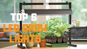 We did not find results for: Best Led Grow Lights In 2019 Top 6 Led Grow Lights Review Youtube