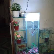 Jual beli online aman dan nyaman hanya di tokopedia. Aquarium Unik Limited Edition Facebook