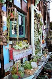 Che Cafe Community Garden Succulents Succulent Gardening Succulents In Containers