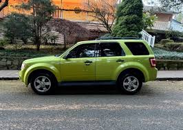 Image result for Green Orchid 2011 Escape