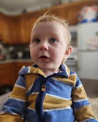 Instagram, meet Venice Matthew brannen 💙