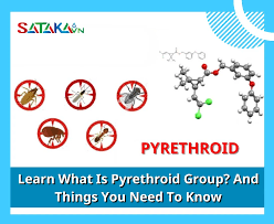 Image result for Pyrethroid