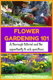 Flower Gardening 101 Modern Design In 2020 Flower Gardening 101 Gardening 101 Flower Garden