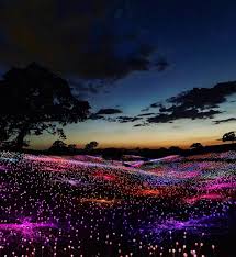 Bruce Munro S Art Installation In Paso Robles Is Everything And More Field Of Lights Is Like The Super Blo Fantasy Landscape Beautiful Nature World Of Color