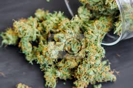 Hay datos sólidos derivados de investigaciones con animales y un número creciente de estudios con seres humanos que indican que la exposición a la marihuana durante el desarrollo puede causar. Platzchen Mit Hanf Und Knospen Des Marihuanas Auf Dem Tisch Fototapete Fototapeten Myloview De