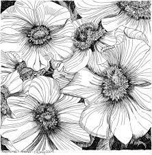 Download 29,767 ink drawing flowers stock illustrations, vectors & clipart for free or amazingly low rates! Anemones Flower Drawing Art Drawings Art