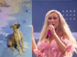 Taty Girl, the singer who won hearts by taking care of a dog during a  concert - Últimas Noticias